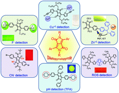 Diketopyrrolopyrrole: brilliant red pigment dye-based fluorescent probes and their applications 이미지