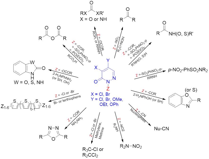 Recent Progress in the Chemistry of Pyridazinones for Functional Group Transformations 이미지