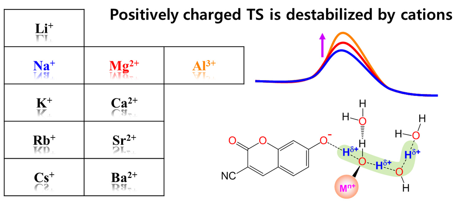 Ionic effect on the excited-state proton transfer reactions in aqueous solutions 이미지