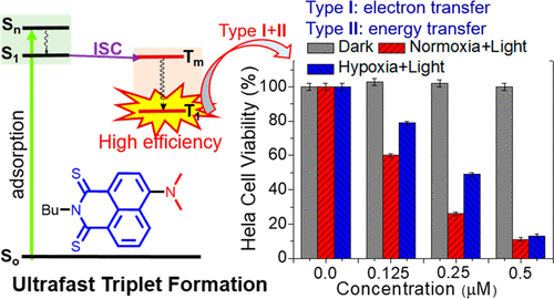An Emerging Molecular Design Approach to Heavy-Atom-Free Photosensitizers for Enhanced Photodynamic Therapy under Hypoxia 이미지